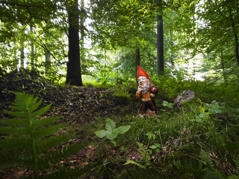 西方人,一个人,无人,站,横图,室外,白天,正面,旅游,度假,草地,草坪,美景,树林,植物,雕塑,比利时,欧洲,欧洲人,仅一个男性,仅一个人,仅一个中年男性,艺术,装饰,雕刻,雕像,景观,首都,注视,娱乐,草,树,树木,绿色,自然,工艺品,观察,看,站着,享受,休闲,景色,放松,生长,成长,观看,纪念,美术,察看,西欧,关注,自然风光,主题,陈列,布鲁塞尔,功能,美学,比利时王国,精灵,男人,男性,中年男性,白种人,站立,彩图,全身