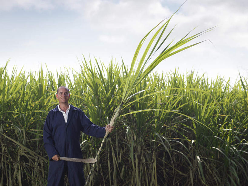 西方人,一个人,农民,农田,站,横图,室外,白天,正面,工作服,制服,庄稼,农作物,水果,叶子,欧洲,欧洲人,仅一个男性,仅一个人,仅一个中年男性,一把,握,阴影,丰富,丰收,新鲜,光线,影子,云,云朵,生食,食品,果实,绿叶,甘蔗,丰盛,云彩,注视,食物,蓝色,白云,蓝天,天空,阳光,天,观察,看,站着,嫩叶,握着,有机食品,绿色食品,晴朗,观看,察看,关注,镰刀,农具,农人,耕具,工作制服,丰登,丰硕,糖蔗,竹蔗,割刀,男人,男性,中年男性,白种人,叶,叶片,晴空,农夫,站立,半身,彩图,工作套服,耕地,庄稼田