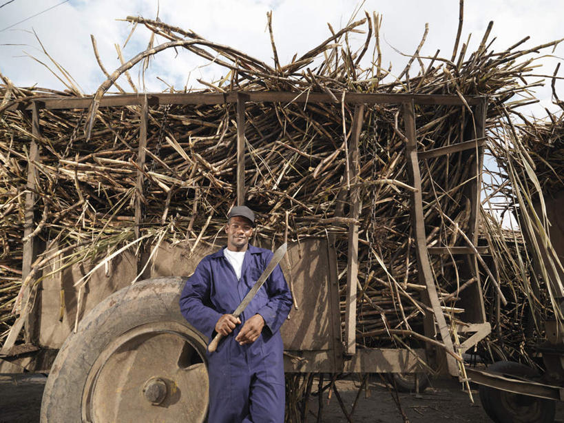 西方人,一个人,站,笑,微笑,露齿笑,横图,室外,白天,正面,工作服,制服,卡车,汽车,帽子,水果,欧洲,非洲,黑人,欧洲人,仅一个男性,仅一个人,仅一个中年男性,一把,一辆,握,阴影,新鲜,光线,影子,云,云朵,生食,食品,果实,甘蔗,云彩,注视,运动帽,车,食物,工人,蓝色,白云,蓝天,天空,阳光,交通工具,天,观察,看,站着,鸭舌帽,握着,有机食品,绿色食品,晴朗,观看,察看,关注,载具,镰刀,农具,一顶,耕具,工作制服,糖蔗,竹蔗,割刀,男人,男性,中年男性,非洲人,晴空,站立,半身,彩图,工作套服