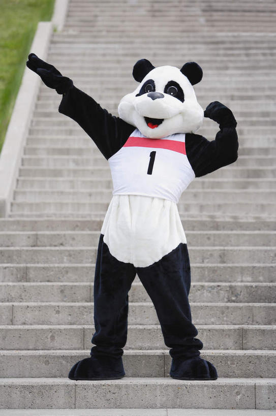 东方人,一个人,站,伸展双臂,笑,微笑,露齿笑,竖图,室外,白天,正面,运动服,锻炼,运动,楼梯,野生动物,熊猫,亚洲,仅一个男性,仅一个人,服装,标志,数字,文字,字符,阶梯,注视,黄种人,标识,台阶,仅一个年轻男性,衣服,动物,观察,看,站着,可爱,模仿,阿拉伯数字,服饰,活泼,观看,察看,模拟,衣着,穿着,关注,大熊猫,演出服,猫熊,衣饰,摹拟,体育,男人,男性,年轻男性,亚洲人,敞开双臂,伸开双臂,展开双肩,站立,张开手臂,张开双臂,彩图,全身,健身,运动装