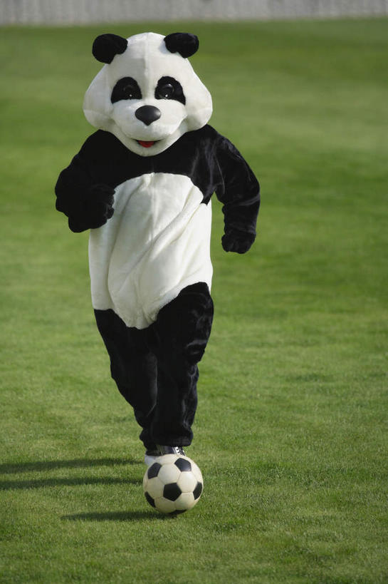 东方人,一个人,足球场,跑,笑,微笑,露齿笑,竖图,室外,白天,正面,运动服,运动鞋,锻炼,运动,足球,草地,草坪,植物,野生动物,熊猫,鞋子,亚洲,仅一个男性,仅一个人,阴影,服装,光线,标志,数字,文字,影子,字符,足球装备,注视,黄种人,标识,运动器械,草,仅一个年轻男性,衣服,绿色,白色,阳光,动物,观察,看,健身器械,可爱,模仿,阿拉伯数字,服饰,活泼,观看,察看,模拟,衣着,穿着,关注,健身器材,绿茵场,大熊猫,演出服,蹴鞠,猫熊,衣饰,摹拟,体育,足球运动,男人,男性,年轻男性,亚洲人,跑步,彩图,全身,健身,足球比赛场地,运动器材,运动装