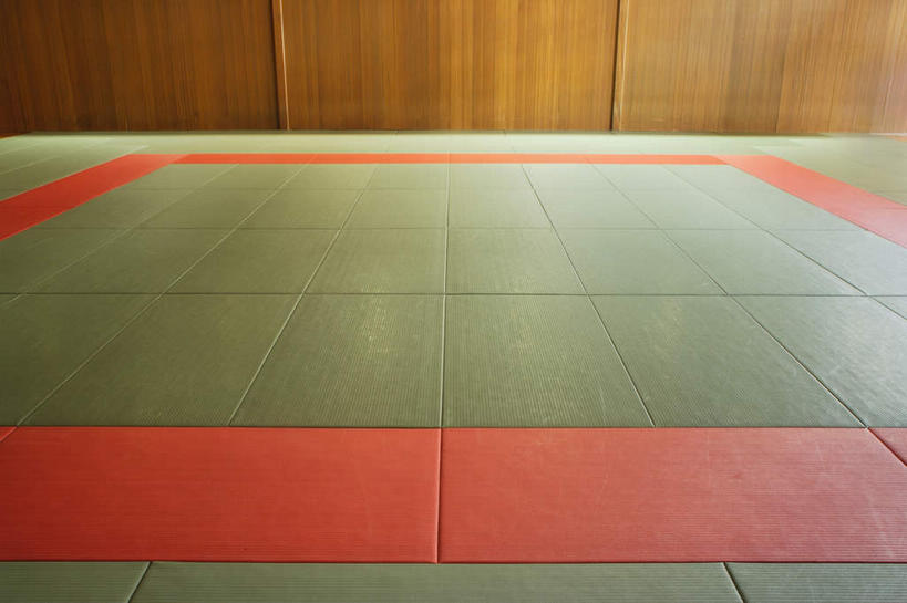 无人,体育馆,运动场,横图,俯视,室内,白天,地板,许多,阴影,光线,木制,方块,格子,影子,墙,灯光,褐色,地面,很多,体育场,木地板,墙壁,墙面,红色,木制品,空手道,运动馆,彩图,高角度拍摄