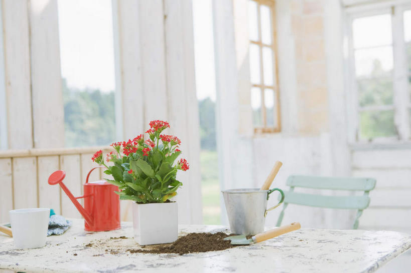 无人,家,横图,室内,白天,正面,植物,别墅,餐桌,窗户,家具,装修,桌子,建筑,叶子,椅子,欧式,许多,阴影,朦胧,模糊,装饰,光线,壶,桶,影子,房屋,木椅,屋子,泥土,土壤,公寓,绿叶,豪华,花蕾,洒水壶,建设,现代,装潢,洋房,楼房,玻璃窗,住宅,水壶,花瓣,花朵,花卉,鲜花,树,树木,红色,绿色,阳光,自然,容器,室内装潢,花苞,嫩叶,生长,成长,餐台,储藏,样板房,明亮,舒适,家居装潢,储存,房屋设计,地中海风格,古典风格,简约风格,室内设计,宽敞,样板房装潢,浇水壶,设计,叶,叶片,彩图,房子,贮存