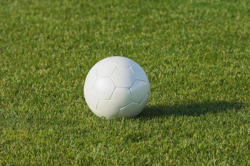 无人,足球场,横图,室外,特写,白天,正面,足球,草地,草坪,植物,阴影,光线,影子,球网,足球装备,运动器械,草,一个,绿色,阳光,健身器械,单个,健身器材,绿茵场,蹴鞠,足球网,足球运动,彩图,足球比赛场地,运动器材