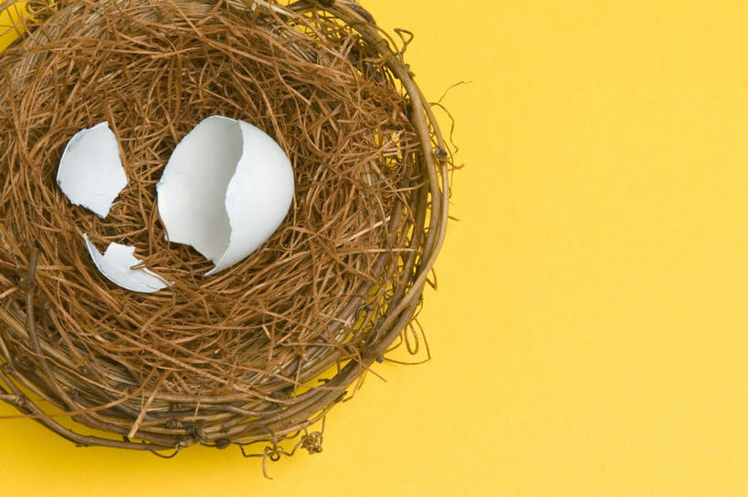 无人,横图,俯视,室内,特写,白天,黄色背景,破碎,鸟巢,鸟窝,蛋,蛋壳,干草,一个,白色,草垛,摄影,影棚,单个,破裂,摧毁,卵,干草垛,彩图,高角度拍摄,影棚拍摄,拍摄