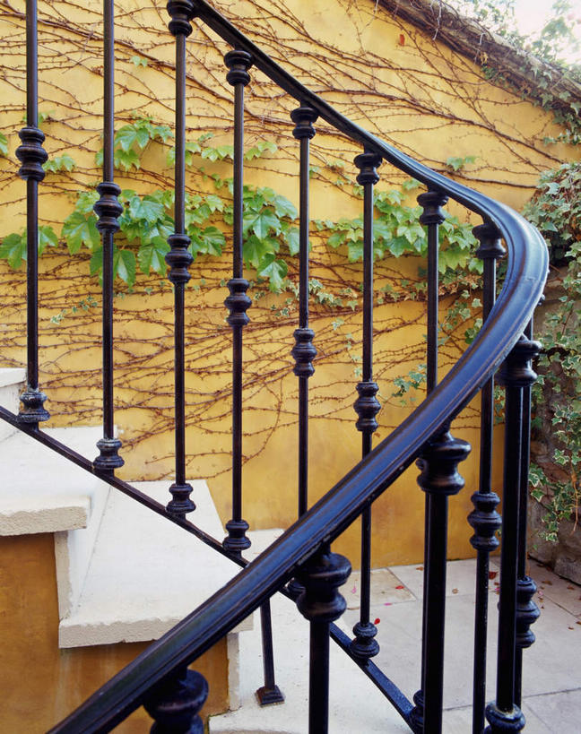 无人,栏杆,竖图,室外,白天,正面,植物,楼梯,扶手,房屋,阶梯,墙,屋子,公寓,常春藤,爬山虎,草药,护栏,楼房,中药,墙壁,墙面,台阶,住宅,药材,中草药,爬墙虎,中药材,本草,地锦,趴山虎,巴山虎,彩图,房子,常青藤