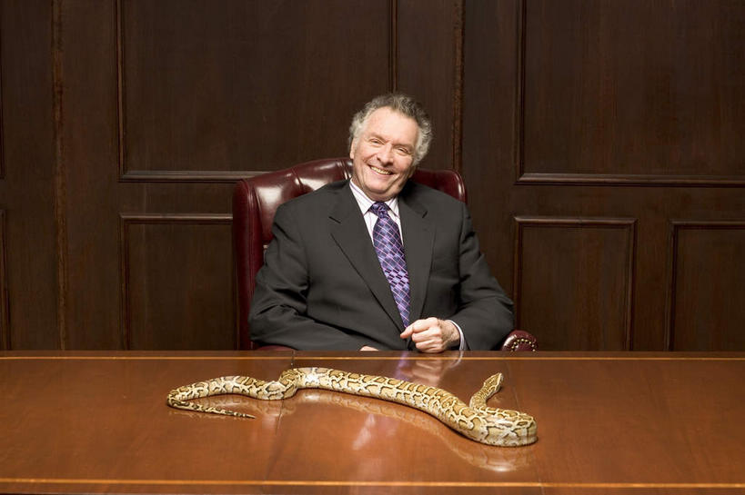 西方人,一个人,商务人士,商务男性,办公室,坐,笑,微笑,露齿笑,横图,室内,白天,正面,衬衫,家具,桌子,野生动物,椅子,欧洲,欧洲人,仅一个男性,仅一个人,一条,套装,蟒蛇,爬行动物,蛇,办公桌,墙,领带,注视,墙壁,墙面,动物,会议椅,观察,看,仅一个老年男性,观看,办公椅,察看,象征,庄重,关注,巨蟒,冷血动物,商务装,身份,凶猛,脊椎动物,长虫,工薪阶层,办公家具,正式,地位,商务椅,培训椅,残暴,凶残,老年男性,男人,男性,白种人,白领,上班族,坐着,半身,彩图,衬衣,冷血