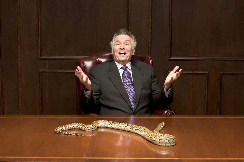 西方人,一个人,商务人士,商务男性,办公室,坐,笑,微笑,露齿笑,横图,室内,白天,正面,衬衫,家具,桌子,野生动物,椅子,欧洲,欧洲人,仅一个男性,仅一个人,一条,套装,蟒蛇,爬行动物,蛇,办公桌,墙,领带,注视,墙壁,墙面,动物,会议椅,观察,看,仅一个老年男性,观看,办公椅,察看,象征,庄重,关注,巨蟒,冷血动物,商务装,身份,凶猛,脊椎动物,长虫,工薪阶层,办公家具,正式,地位,商务椅,培训椅,残暴,凶残,老年男性,男人,男性,白种人,白领,上班族,坐着,半身,彩图,衬衣,冷血