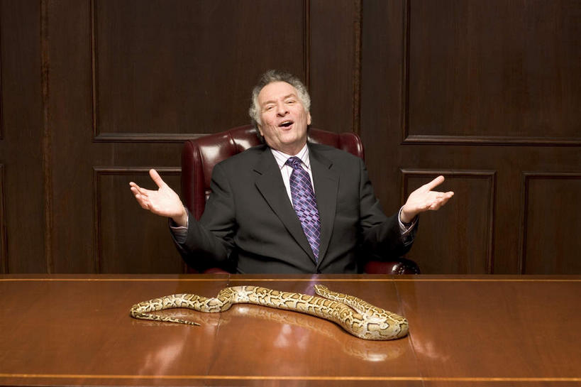 西方人,一个人,商务人士,商务男性,办公室,坐,笑,微笑,露齿笑,横图,室内,白天,正面,衬衫,家具,桌子,野生动物,椅子,欧洲,欧洲人,仅一个男性,仅一个人,一条,套装,蟒蛇,爬行动物,蛇,办公桌,墙,领带,注视,墙壁,墙面,动物,会议椅,观察,看,仅一个老年男性,观看,办公椅,察看,象征,庄重,关注,巨蟒,冷血动物,商务装,身份,凶猛,脊椎动物,长虫,工薪阶层,办公家具,正式,地位,商务椅,培训椅,残暴,凶残,老年男性,男人,男性,白种人,白领,上班族,坐着,半身,彩图,衬衣,冷血