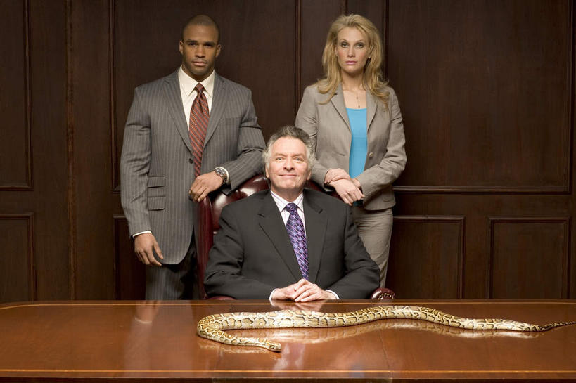 西方人,三个人,同事,商务人士,商务男性,商务女性,办公室,站,坐,双手交叉,横图,室内,白天,正面,衬衫,成功,合作,团队,集体,信心,家具,桌子,野生动物,椅子,欧洲,非洲,黑人,欧洲人,一条,套装,蟒蛇,爬行动物,蛇,办公桌,墙,领带,注视,队伍,墙壁,墙面,动物,会议椅,观察,看,站着,搭,观看,办公椅,察看,领导,象征,庄重,成就,搭着,关注,巨蟒,冷血动物,商务装,身份,凶猛,脊椎动物,长虫,合伙,领袖,工薪阶层,办公家具,正式,地位,商务椅,培训椅,残暴,凶残,男人,男性,年轻男性,年轻女性,女人,女性,中年男性,白种人,非洲人,白领,上班族,十字手,站立,坐着,半身,彩图,衬衣,冷血