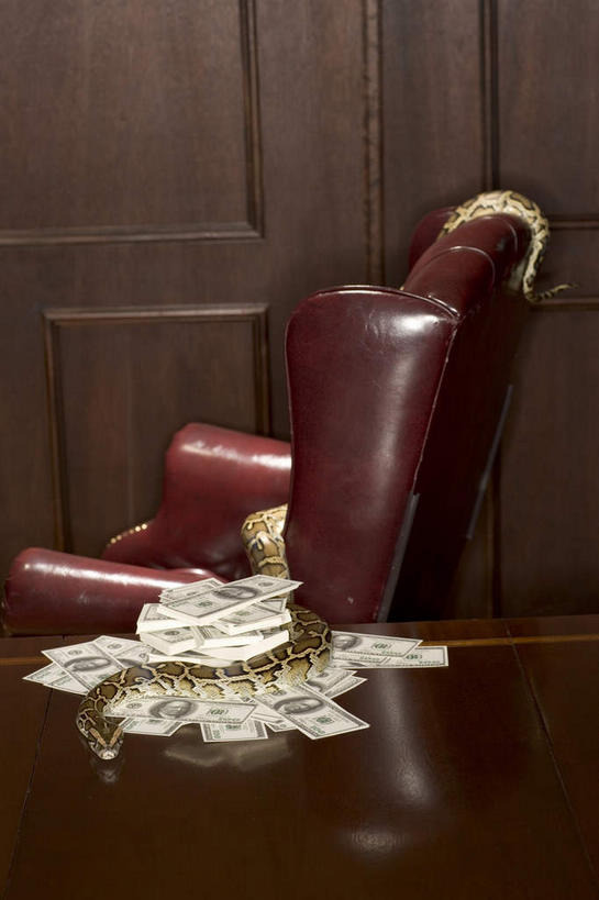 无人,办公室,竖图,室内,特写,白天,正面,钱,美元,家具,桌子,野生动物,椅子,一把,一堆,一条,许多,阴影,堆叠,堆积,反射,蟒蛇,爬行动物,蛇,钱币,影子,办公桌,墙,很多,美金,墙壁,墙面,动物,会议椅,钞票,金融,纸币,经济,堆,办公椅,巨蟒,冷血动物,美圆,凶猛,脊椎动物,长虫,流通,纸钞,贸易,办公家具,商务椅,培训椅,残暴,凶残,货币,现金,彩图,全身,冷血