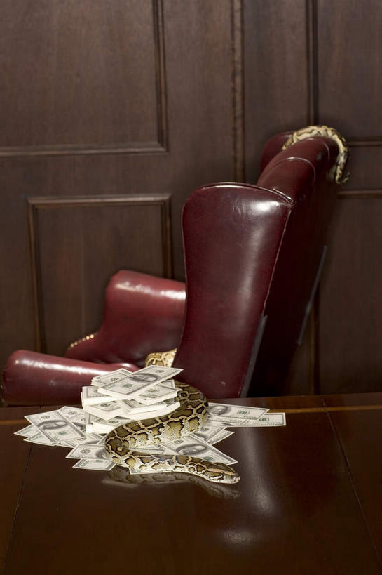 无人,办公室,竖图,室内,特写,白天,正面,钱,美元,家具,桌子,野生动物,椅子,一把,一堆,一条,许多,阴影,堆叠,堆积,反射,蟒蛇,爬行动物,蛇,钱币,影子,办公桌,墙,很多,美金,墙壁,墙面,动物,会议椅,钞票,金融,纸币,经济,堆,办公椅,巨蟒,冷血动物,美圆,凶猛,脊椎动物,长虫,流通,纸钞,贸易,办公家具,商务椅,培训椅,残暴,凶残,货币,现金,彩图,全身,冷血