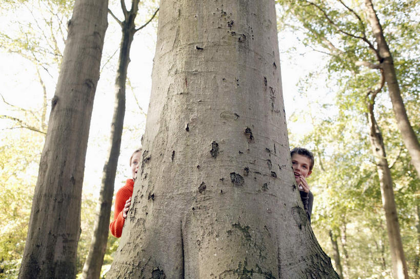 西方人,儿童,两个人,家庭,站,横图,室外,白天,仰视,游戏,纯洁,森林,树林,植物,欧洲,欧洲人,阴影,服装,朦胧,模糊,光线,影子,树桩,玩,注视,休闲装,娱乐,树,树干,树木,小孩,衣服,绿色,阳光,自然,观察,看,站着,休闲,温暖,温馨,一家人,休闲服,木桩,可爱,童年,童趣,服饰,生长,成长,观看,活动,和睦,察看,捉迷藏,发泄,关注,消遣,智力,躲猫猫,童真,烂漫,无邪,宣泄,天真,男孩,男人,男性,女孩,女人,女性,白种人,玩耍,嬉戏,站立,半身,彩图,低角度拍摄,融洽,男生,女生