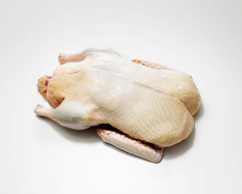 无人,横图,俯视,室内,特写,白天,白色背景,阴影,新鲜,反射,影子,鸡肉,肉,生食,肉类,一个,烤鸡,摄影,影棚,单个,肉食,彩图,高角度拍摄,影棚拍摄,拍摄