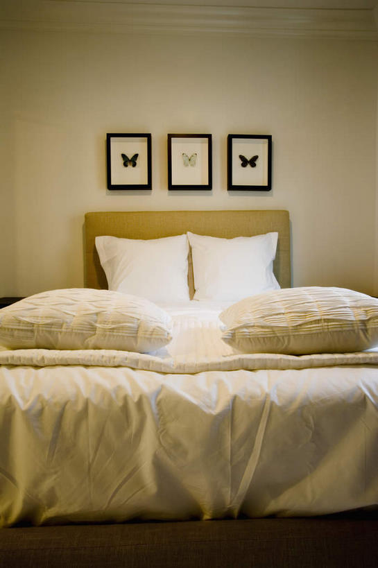 无人,家,竖图,室内,白天,正面,别墅,床,家具,靠垫,卧室,装修,建筑,蝴蝶,欧式,一排,阴影,整齐,装饰,反射,昆虫,影子,房屋,墙,双人床,屋子,公寓,床单,靠枕,豪华,被子,建设,现代,装潢,洋房,楼房,墙壁,墙面,住宅,排列,动物,垫子,室内装潢,枕头,三幅,样板房,明亮,舒适,被单,家居装潢,队列,挂画,房屋设计,地中海风格,古典风格,简约风格,益虫,室内设计,宽敞,样板房装潢,设计,装饰画,彩图,房子,睡房,卧房