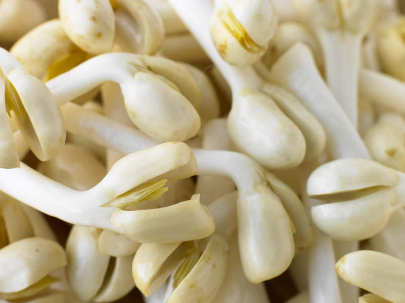 无人,横图,俯视,室内,特写,白天,蔬菜,一堆,许多,堆叠,堆积,朦胧,模糊,新鲜,豆芽,食品,很多,食物,黄色,有机食品,绿色食品,堆,豆芽菜,芽苗菜,彩图,高角度拍摄