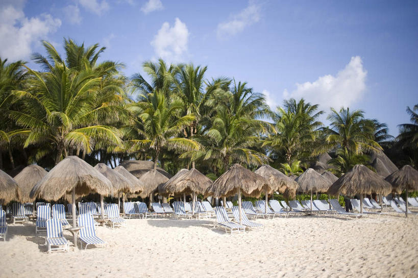 无人,横图,室外,白天,正面,旅游,度假,美景,沙滩,植物,棕榈树,叶子,椅子,美国,一排,阴影,整齐,并列,并排,光线,伞,沙子,影子,雨伞,遮阳伞,躺椅,海岸,景观,云,云朵,绿叶,沙地,云彩,娱乐,阳伞,树,树木,排列,蓝色,绿色,白云,蓝天,天空,阳光,自然,天,享受,休闲,嫩叶,景色,放松,生长,晴朗,成长,沙滩椅,北美,太阳伞,北美洲,队列,加利福尼亚,自然风光,美洲,平行,棕榈叶,加州,加利福尼亚州,金州,黄金州,北亚美利加洲,亚美利加洲,圣迭戈县,叶,叶片,海滩,晴空,彩图,卡尔斯巴德