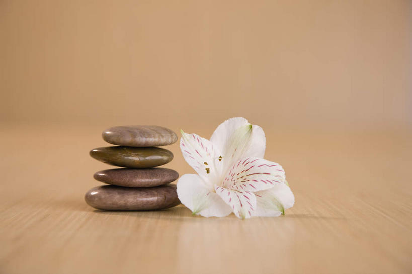 无人,横图,室内,特写,白天,正面,石头,六出花,一堆,堆叠,堆积,朦胧,模糊,盛开,石子,花蕾,花,花瓣,花朵,鲜花,一朵,白色,花苞,花蕊,四个,鹅卵石,摄影,影棚,堆,按摩石,水仙百合,秘鲁百合,石块,彩图,影棚拍摄,拍摄