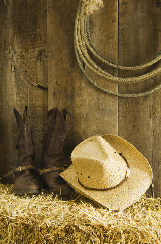 无人,竖图,室内,特写,白天,正面,静物,帽子,吊挂,悬挂,阴影,反射,木制,影子,墙,干草,挂,墙壁,墙面,木制品,草垛,牛仔帽,鞭子,干草垛,彩图