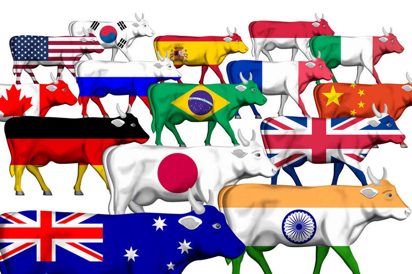 无人,横图,插画,室内,白天,侧面,数码,科技,牛,旗帜,国旗,法国,德国,英国,巴西,欧洲,韩国,日本,印度,中国,美国,亚洲,一排,阴影,整齐,网络,高光,几何,计算机图形,合成,图画,画,排列,动物,家畜,南美,牲畜,电脑合成图,数码合成图,南美洲,北美,北美洲,西欧,拉丁美洲,队列,南亚,美洲,大不列颠,漫画,东亚,大不列颠及北爱尔兰联合王国,巴西联邦共和国,德意志联邦共和国,法兰西共和国,印度共和国,中华人民共和国,日本国,写实,具体,具象,北亚美利加洲,亚美利加洲,法兰西第五共和国,南亚美利加洲,大韩民国,大不列颠联合王国,日不落英帝国,旗,半身,彩图