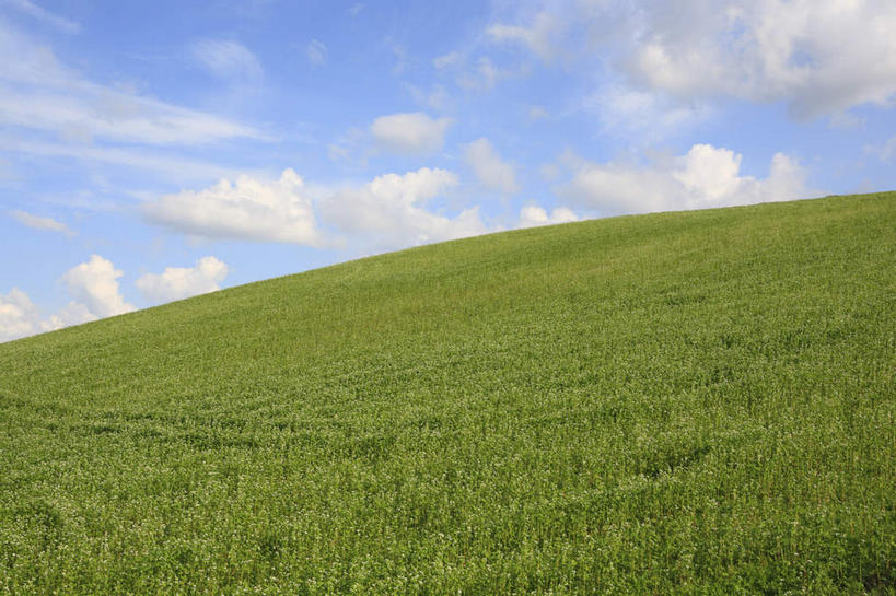 无人,横图,室外,白天,仰视,草地,草坪,美景,山,山脉,植物,北海道,日本,亚洲,地平线,景观,旷野,山峰,田野,云,云朵,辽阔,地面,山峦,云彩,野外,草,蓝色,绿色,白云,蓝天,天空,自然,群山,天,广阔,景色,一望无际,自然风光,原野,延伸,东亚,日本国,天地相交,北海道地方,北海道岛,美瑛町,美瑛,郊野,无边无际,一马平川,彩图,低角度拍摄