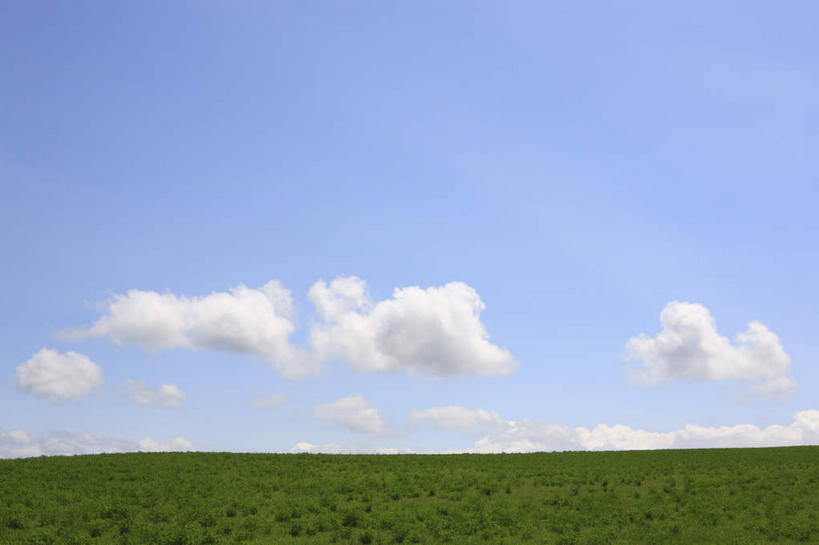 无人,横图,室外,白天,仰视,草地,草坪,美景,植物,北海道,日本,亚洲,新鲜,地平线,景观,旷野,田野,云,云朵,辽阔,地面,云彩,野外,草,蓝色,绿色,白云,蓝天,天空,自然,天,广阔,景色,青春,一望无际,生命,自然风光,原野,延伸,和平,安详,东亚,日本国,天地相交,北海道地方,北海道岛,美瑛町,美瑛,郊野,冷色,无边无际,一马平川,彩图,低角度拍摄