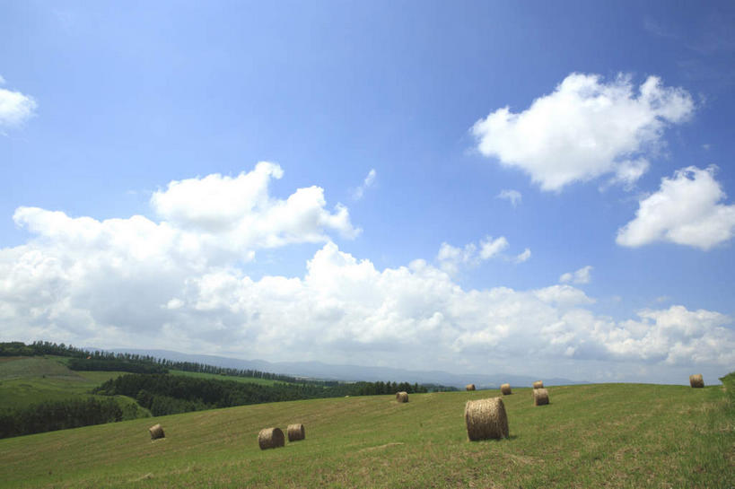 无人,农田,横图,室外,白天,正面,旅游,度假,庄稼,农作物,草地,草坪,美景,植物,北海道,日本,亚洲,一排,许多,整齐,地平线,景观,云,云朵,辽阔,地面,干草堆,云彩,娱乐,草,树,树木,排列,蓝色,绿色,白云,蓝天,天空,自然,天,享受,休闲,广阔,景色,放松,生长,晴朗,成长,一望无际,队列,自然风光,延伸,东亚,日本国,天地相交,北海道地方,北海道岛,美瑛町,美瑛,无边无际,一马平川,晴空,彩图,耕地,庄稼田