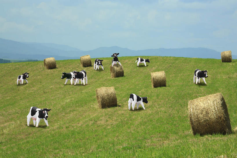 无人,横图,室外,白天,正面,旅游,度假,游戏,草地,草坪,美景,山,山脉,植物,玩具,日本,亚洲,一排,许多,整齐,景观,山峰,云,云朵,干草堆,山峦,玩,云彩,娱乐,草,排列,蓝色,绿色,白云,蓝天,天空,自然,群山,天,享受,休闲,景色,放松,益智,晴朗,活动,队列,发泄,消遣,智力,自然风光,东亚,日本国,宣泄,晴空,奶牛,玩耍,嬉戏,彩图,全身