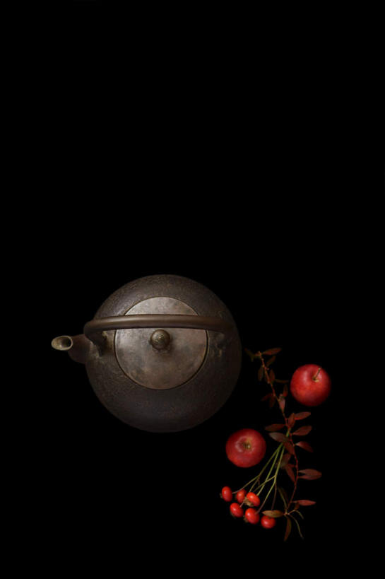 无人,竖图,室内,特写,白天,正面,植物,金属制品,许多,黑色背景,金属,草药,药草,中药,水壶,一个,红色,摄影,影棚,单个,药材,中草药,接骨木,中药材,本草,草珊瑚,接骨金粟兰,九节茶,九节风,九节花,肿节风,竹节茶,彩图,影棚拍摄,拍摄