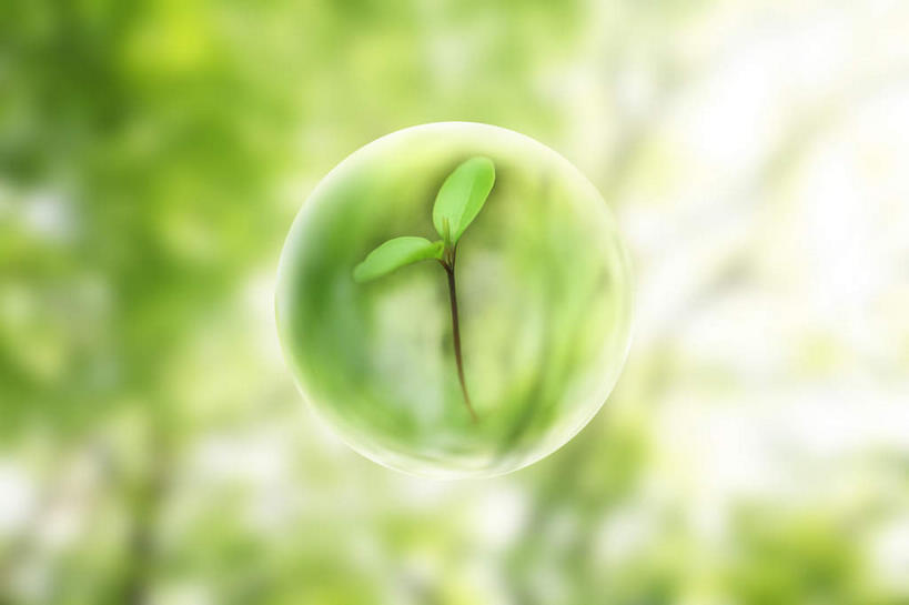 无人,横图,室内,白天,正面,数码,科技,叶子,阴影,朦胧,模糊,光线,网络,影子,气泡,绿叶,高光,几何,计算机图形,球形,合成,幼苗,绿色,阳光,嫩叶,电脑合成图,数码合成图,写实,具体,具象,叶,叶片,彩图