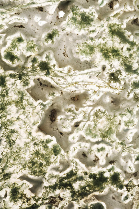 无人,竖图,室内,白天,白色背景,正面,纹理,玛瑙,青苔,苔藓,绿色,摄影,影棚,肌理,彩图,影棚拍摄,拍摄