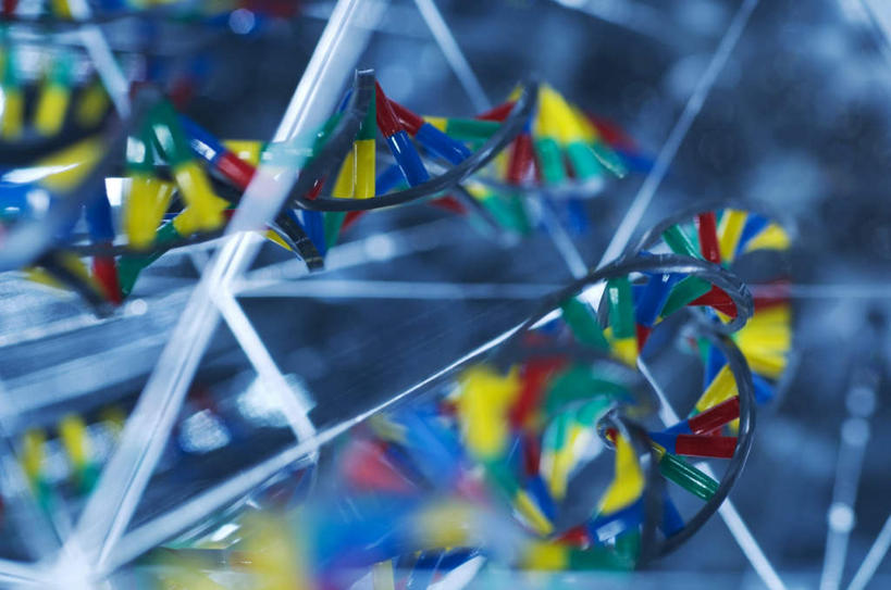 无人,横图,彩色,室内,特写,白天,正面,静物,科学,基因,螺旋,旋转,模型,生物,遗传,五颜六色,色彩斑斓,脱氧核糖核酸,五彩缤纷,五彩斑斓,DNA分子,去氧核糖核酸,遗传信息,遗传因子,遗传学,五光十色,彩图