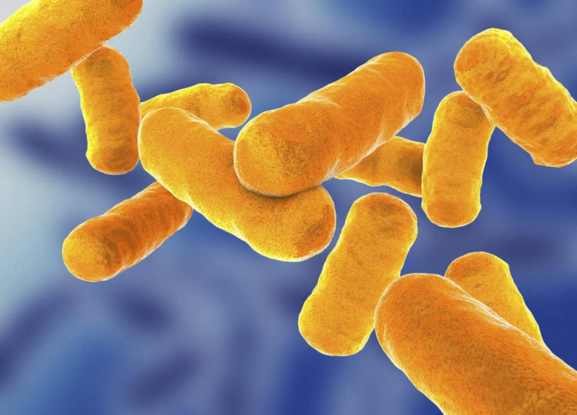 无人,横图,插画,室内,特写,白天,正面,数码,科技,微生物,一堆,许多,阴影,堆叠,堆积,蓝色背景,网络,细菌,医学,高光,几何,计算机图形,合成,图画,画,黄色,生物,堆,电脑合成图,数码合成图,医疗,生物学,漫画,写实,具体,具象,杆菌,寄生,生命体,棒状杆菌,彩图