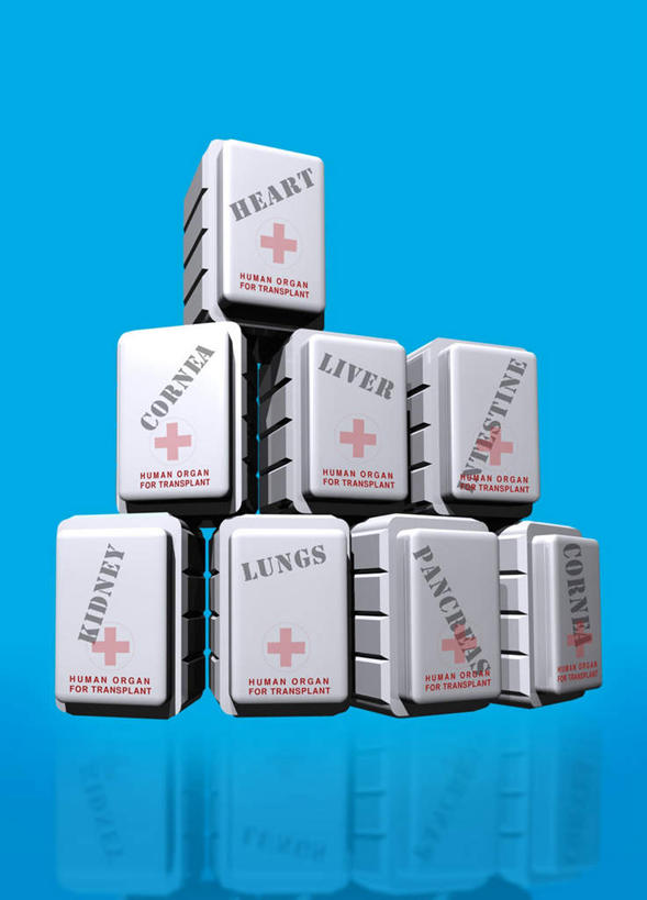 无人,竖图,插画,室内,特写,白天,正面,数码,科技,一堆,许多,阴影,堆叠,堆积,蓝色背景,反射,网络,英文,包装,标志,十字架,文字,影子,字符,字母,高光,几何,计算机图形,合成,图画,标识,画,红色,白色,容器,箱子,堆,英文字母,电脑合成图,数码合成图,急救箱,漫画,写实,具体,具象,彩图