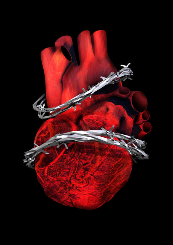 内脏,心脏,动脉,静脉,无人,竖图,插画,室内,特写,白天,正面,数码,科技,静物,阴影,黑色背景,网络,高光,几何,计算机图形,合成,图画,画,一个,红色,模型,人体,单个,捆绑,锁链,电脑合成图,数码合成图,疾病,生物学,器官,荆棘,漫画,心血管,心房,心室,生理学,写实,具体,具象,绑缚,心血管疾病,心脏病,心,彩图
