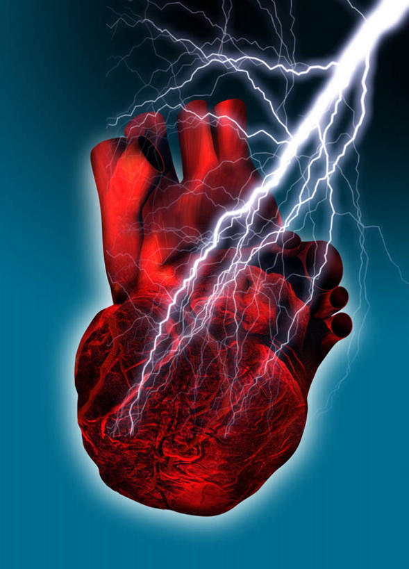 内脏,心脏,动脉,静脉,无人,竖图,插画,室内,特写,白天,正面,数码,科技,闪电,静物,阴影,蓝色背景,网络,高光,几何,计算机图形,合成,图画,画,一个,红色,模型,人体,单个,电脑合成图,数码合成图,疾病,生物学,器官,打雷,雷,漫画,心血管,心房,心室,生理学,写实,具体,具象,心血管疾病,心脏病,心,打闪,彩图