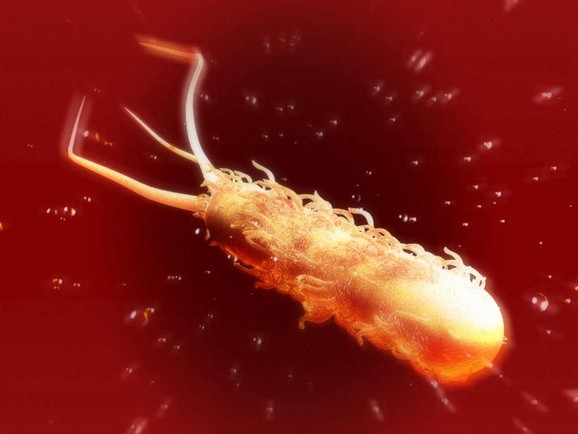 无人,横图,插画,室内,特写,白天,正面,数码,科技,微生物,阴影,红色背景,网络,细菌,斑点,高光,几何,计算机图形,合成,图画,画,一个,单个,电脑合成图,数码合成图,漫画,写实,具体,具象,生命体,大肠杆菌,大肠埃希氏菌,肠道菌群,彩图