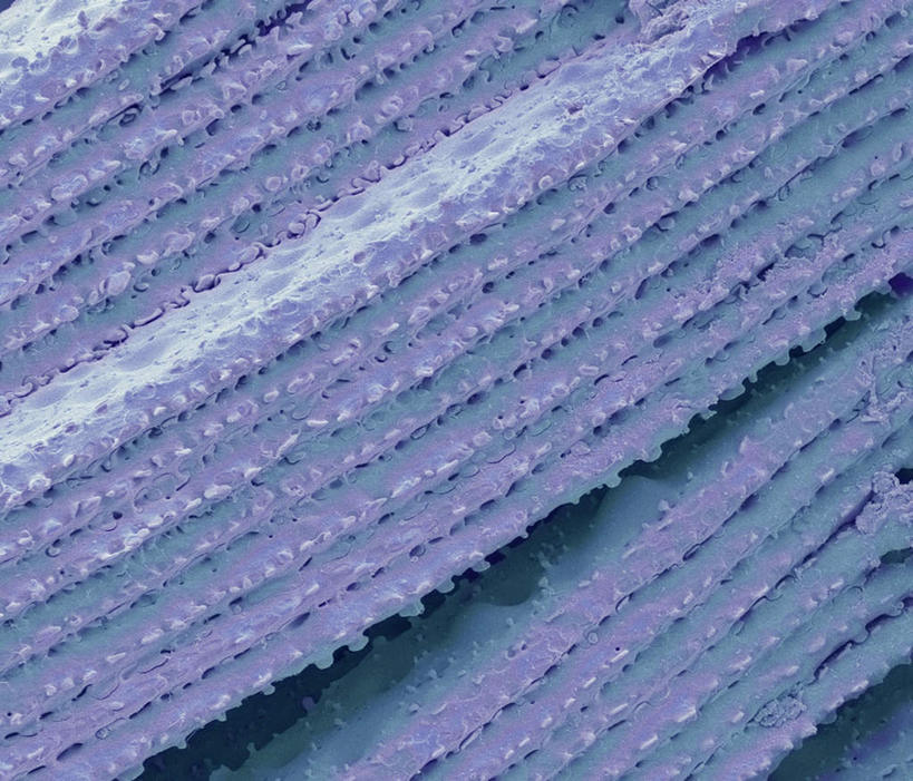 无人,横图,室内,特写,白天,正面,神秘,数码,科技,一排,阴影,条纹,整齐,网络,高光,几何,计算机图形,合成,排列,一个,紫色,单个,电脑合成图,数码合成图,眼球,优美,庄重,队列,高贵,消极,写实,具体,具象,冷色,孤寂,彩图,晶状体,奢华