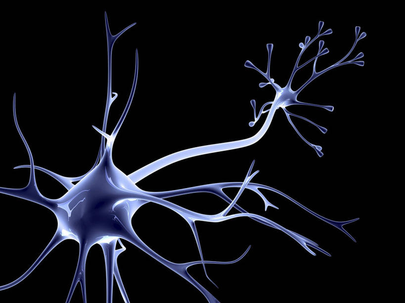 无人,横图,插画,室内,白天,正面,数码,科技,微生物,阴影,黑色背景,传递,科学,网络,医学,纹路,纹理,细胞,高光,几何,计算机图形,合成,图画,画,蓝色,电脑合成图,数码合成图,生物学,合成图,漫画,神经元,肌理,写实,具体,具象,树突,突触,突触间隙,神经细胞,细胞突起,彩图,突触后膜,突触前膜