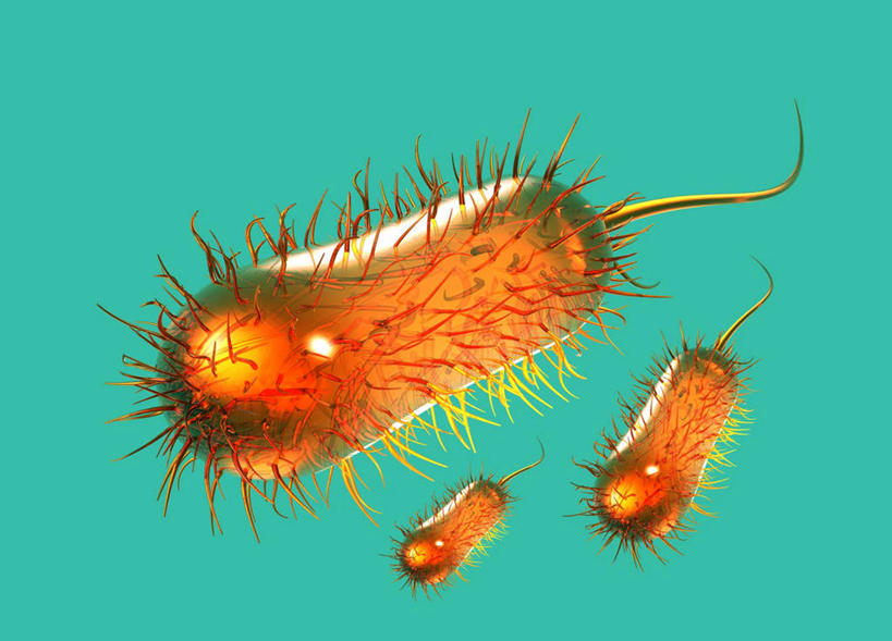 无人,横图,插画,室内,白天,正面,数码,科技,微生物,绿色背景,阴影,科学,网络,细菌,高光,几何,计算机图形,合成,图画,画,三个,黄色,电脑合成图,数码合成图,生物学,合成图,漫画,写实,具体,具象,生命体,大肠杆菌,大肠埃希氏菌,肠道菌群,自然科学,博物学,生物科学,彩图