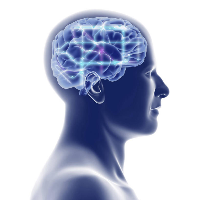 脑,脊髓,一个人,无人,方图,插画,室内,白天,白色背景,正面,数码,科技,大脑,仅一个男性,仅一个人,连接,阴影,网络,高光,几何,计算机图形,合成,线路,图画,画,仅一个年轻男性,模型,电脑合成图,数码合成图,器官,合成图,沟壑,漫画,小脑,脑干,写实,具体,具象,大脑皮层,端脑,沟,灰质,回,间脑,脊神经,脑神经,贯穿,连结,衔接,中枢神经系统,周围神经系统,串连,模子,男人,男性,年轻男性,脊柱,半身,彩图,调节系统,植物性神经,周围神经,神经系统,中枢神经