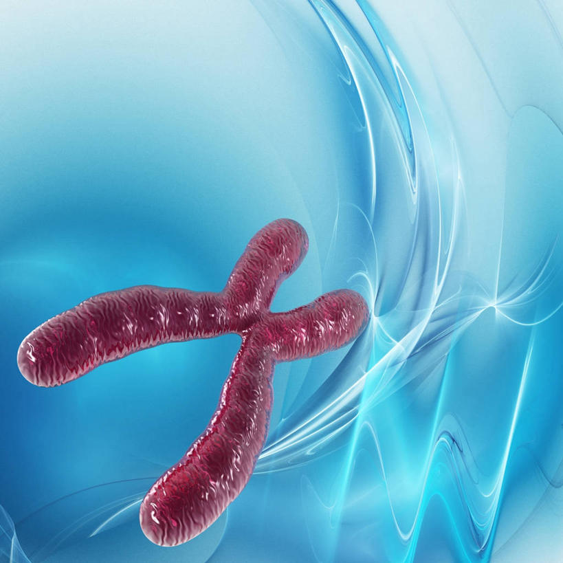 无人,方图,插画,室内,白天,正面,数码,科技,阴影,蓝色背景,曲折,弯曲,科学,曲线,网络,基因,细胞核,染色体,线条,高光,几何,计算机图形,合成,图画,画,红色,生物,蜿蜒,遗传,电脑合成图,数码合成图,脱氧核糖核酸,合成图,蛋白质,漫画,写实,具体,具象,核糖核酸,染色质,遗传信息,遗传因子,遗传学,X染色体,性染色体,彩图