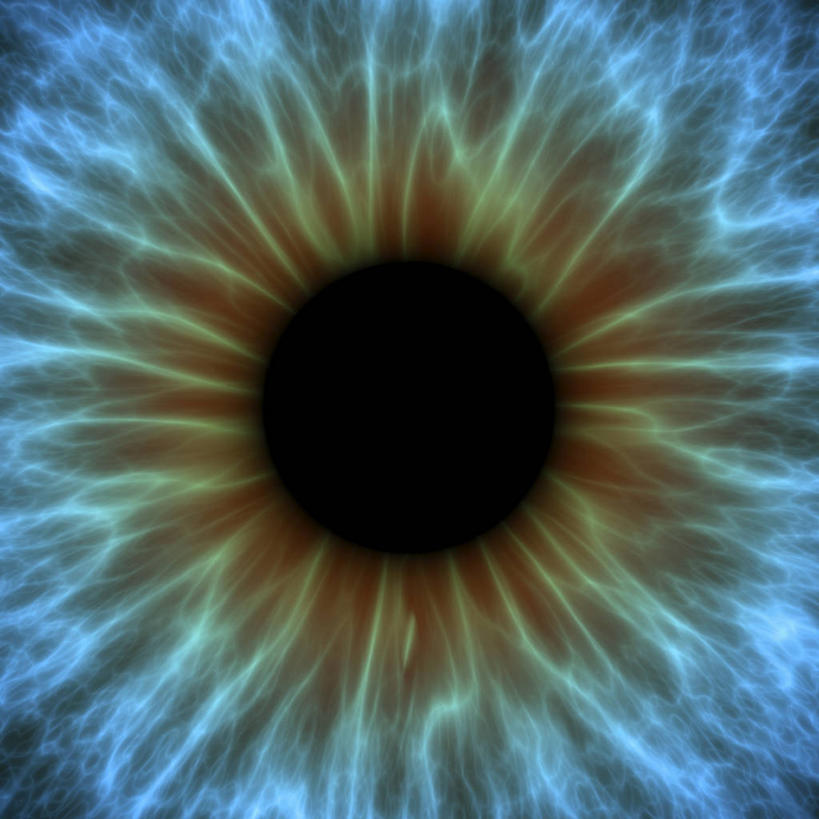 无人,方图,插画,室内,白天,正面,数码,科技,静物,瞳孔,阴影,透明,网络,医学,纹路,圆形,图形,纹理,圆,褐色,高光,几何,计算机图形,合成,图画,画,蓝色,黑色,模型,人体,眼部,电脑合成图,数码合成图,生物学,视网膜,眼球,人体器官,器官,合成图,数学,漫画,生理学,肌理,写实,具体,具象,理智,沉静,巩膜,角膜,视觉器官,眼房,眼球壁,冷色,高深,冷淡,眼,彩图,几何图形,平面图形