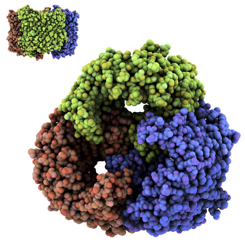 无人,方图,插画,室内,白天,白色背景,正面,数码,分子,科技,阴影,网络,化学,褐色,高光,几何,计算机图形,合成,图画,画,蓝色,绿色,电脑合成图,数码合成图,分子结构,合成图,原子,蛋白质,漫画,粒子,写实,具体,具象,分子几何,分子立体结构,分子形状,彩图,白蛋白,清蛋白,球蛋白,孔蛋白