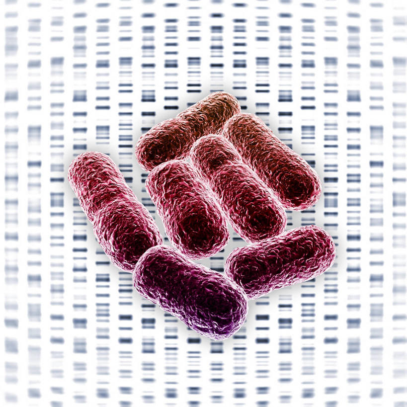 无人,方图,插画,室内,白天,白色背景,正面,数码,科技,微生物,许多,阴影,科学,网络,基因,细菌,很多,高光,几何,计算机图形,合成,图画,画,红色,生物,遗传,电脑合成图,数码合成图,脱氧核糖核酸,合成图,漫画,写实,具体,具象,生命体,DNA分子,去氧核糖核酸,遗传信息,遗传因子,遗传学,大肠杆菌,大肠埃希氏菌,肠道菌群,彩图