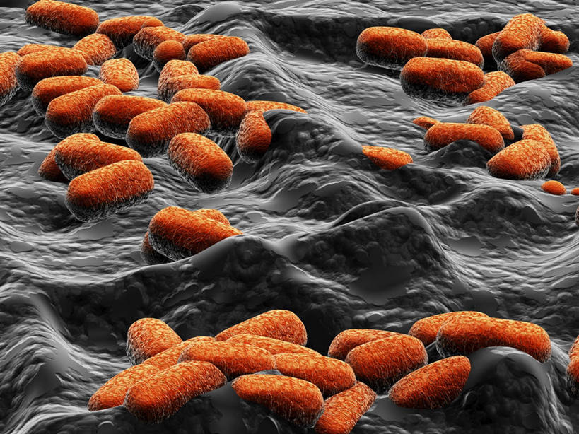 无人,横图,插画,室内,白天,正面,幸福,数码,科技,微生物,许多,阴影,网络,细菌,很多,高光,几何,计算机图形,辉煌,合成,图画,画,温暖,橙色,生物,活泼,华丽,暖色,电脑合成图,数码合成图,合成图,漫画,温情,写实,具体,具象,生命体,大肠杆菌,大肠埃希氏菌,肠道菌群,炽热,响亮,跃动,甜蜜,彩图,愉快,原核生物