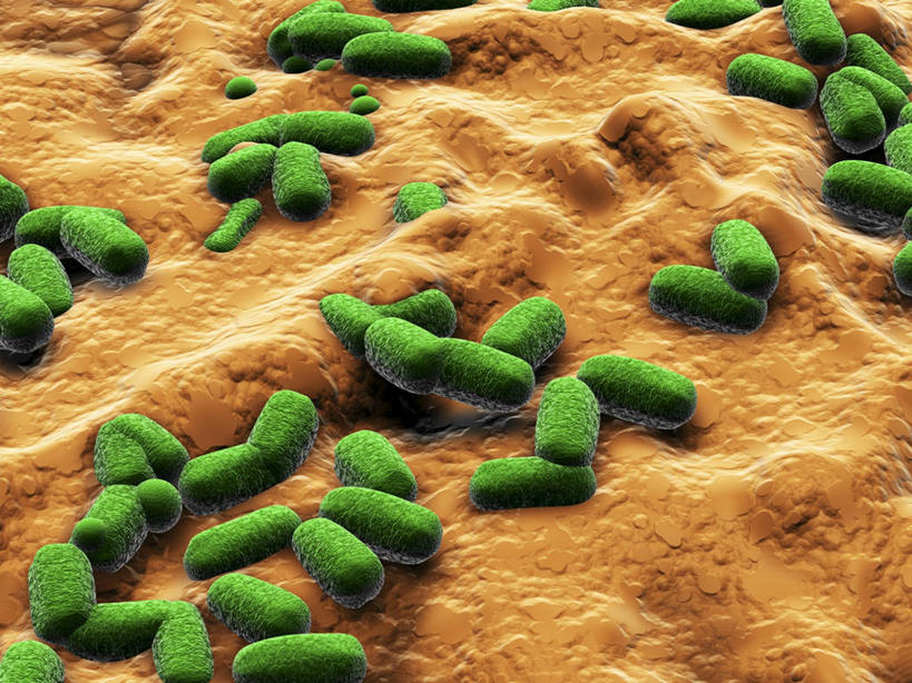 无人,横图,插画,室内,白天,正面,幸福,数码,科技,微生物,许多,阴影,新鲜,网络,细菌,很多,高光,几何,计算机图形,辉煌,合成,图画,画,绿色,温暖,橙色,生物,活泼,青春,华丽,暖色,电脑合成图,数码合成图,生命,合成图,和平,安详,漫画,温情,写实,具体,具象,生命体,大肠杆菌,大肠埃希氏菌,肠道菌群,冷色,炽热,响亮,跃动,甜蜜,彩图,愉快,原核生物