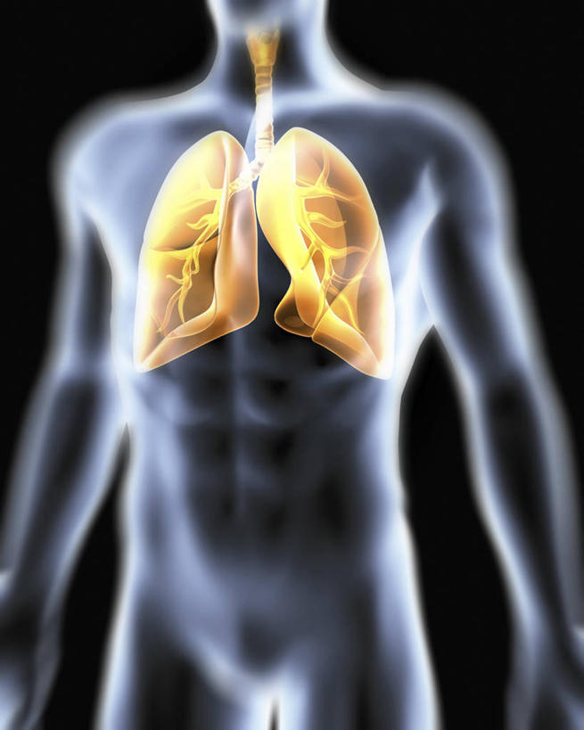 内脏,动脉,静脉,肥胖,一个人,无人,站,竖图,插画,x光片,室内,白天,正面,数码,科技,仅一个男性,仅一个人,阴影,黑色背景,辐射,科学,网络,医学,高光,几何,计算机图形,系统,合成,图画,裸露,画,仅一个年轻男性,站着,人体,电脑合成图,数码合成图,医疗,生物学,人体器官,科学技术,x射线,器官,合成图,裸,x光,呼吸,漫画,写实,具体,具象,肥,胖,呼吸系统,自然科学,博物学,生物科学,男人,男性,年轻男性,站立,X光图片,X光图像,半身,彩图,吐故纳新,气体交换,电磁波,电磁辐射