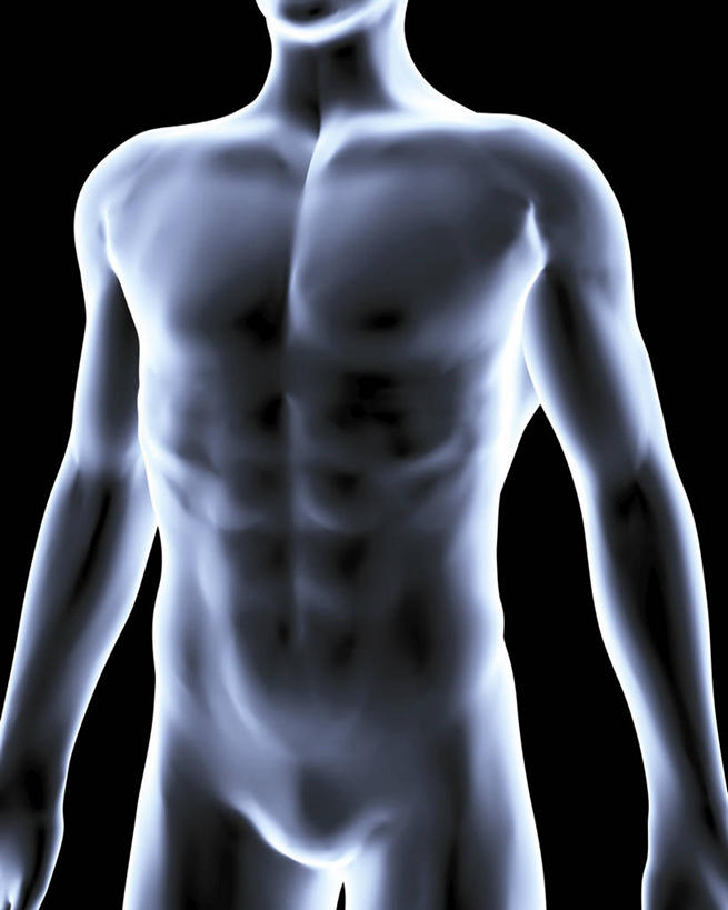 肌肉,健壮,一个人,无人,站,竖图,插画,x光片,室内,白天,正面,数码,科技,仅一个男性,仅一个人,阴影,黑色背景,辐射,科学,网络,医学,高光,几何,计算机图形,合成,图画,裸露,画,仅一个年轻男性,站着,健康,活力,力量,青春,电脑合成图,数码合成图,医疗,科学技术,x射线,强壮,合成图,裸,x光,漫画,写实,具体,具象,男人,男性,年轻男性,站立,X光图片,X光图像,半身,彩图,电磁波,电磁辐射