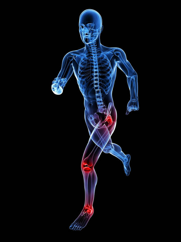 骨骼,关节,一个人,无人,跑,竖图,插画,室内,白天,正面,锻炼,运动,数码,科技,仅一个男性,仅一个人,阴影,黑色背景,网络,骨头,高光,几何,计算机图形,合成,图画,画,仅一个年轻男性,红色,蓝色,疼痛,张开双腿,电脑合成图,数码合成图,骨架,疾病,合成图,漫画,写实,具体,具象,关节炎,展开双腿,体育,男人,男性,年轻男性,跑步,彩图,全身,健身,伸展双腿